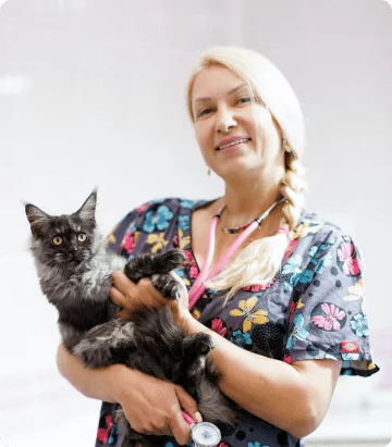 Ветеринарная клиника, ветклиника