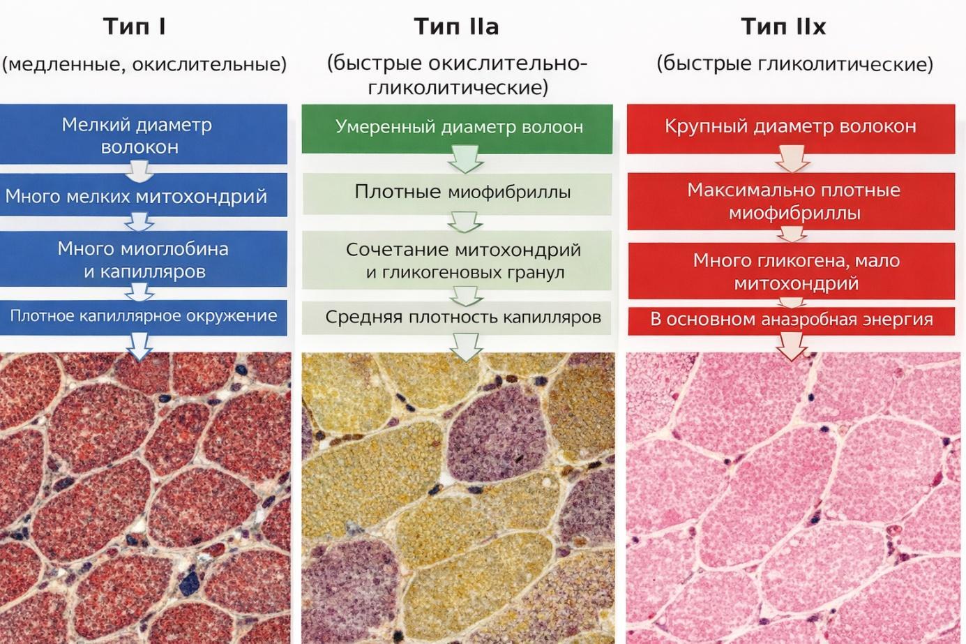 Ein Bild, das Text, Screenshot enthält.
KI-generierte Inhalte können fehlerhaft sein.