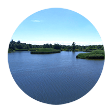 отдых на озере агроусадьба