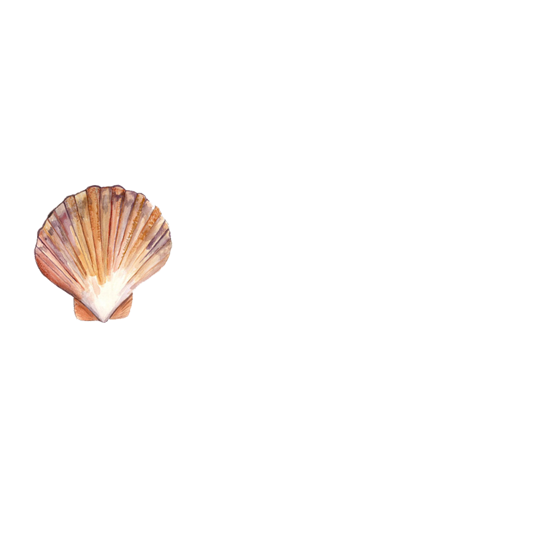 МОРСКОЙ МИР