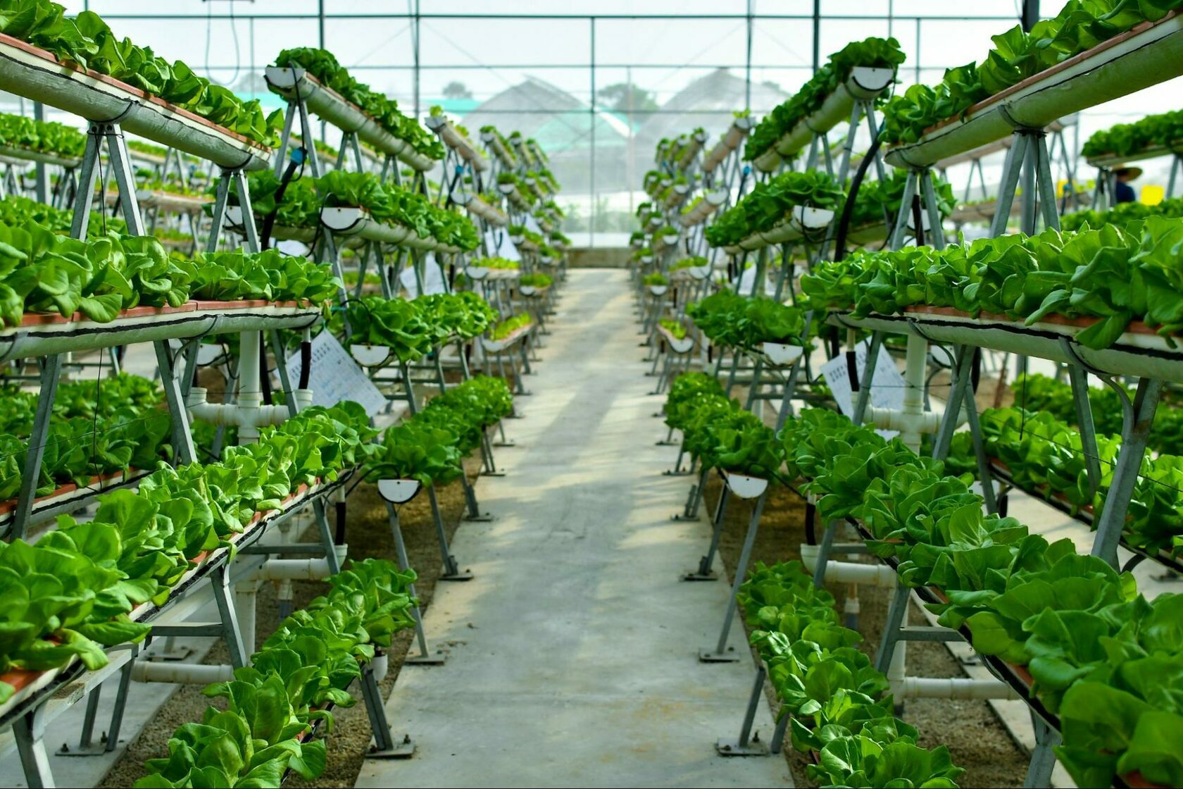 What are vertical farming systems? Here’s all you need to know