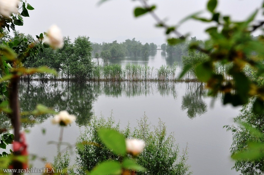 Весной тут сезон дождей. Погода хмурая, черно-белая, а уровень воды в озере сильно пляшет.
