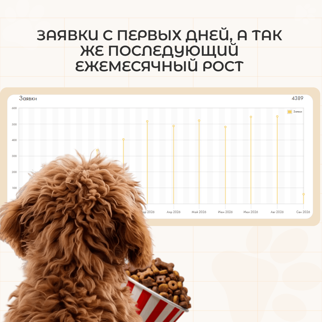 SEO продвижение питомника мальтипу