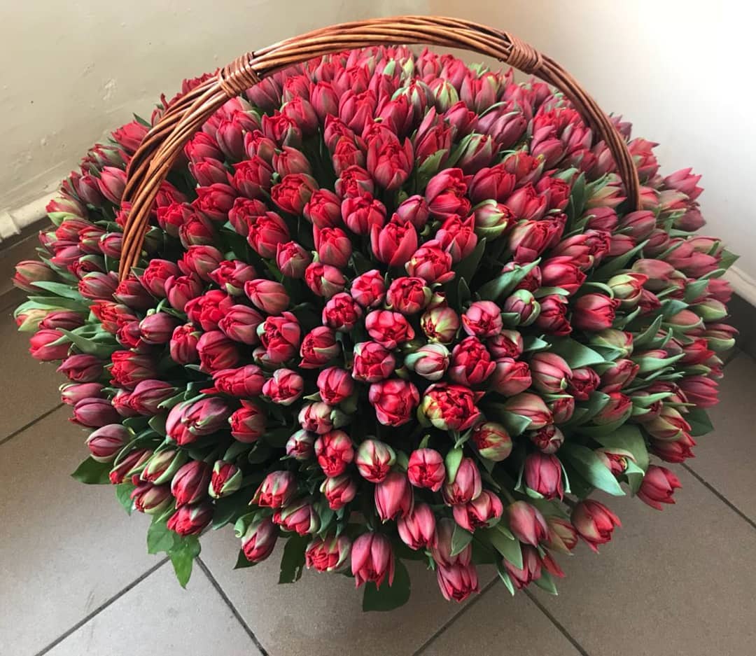 Букет 301 тюльпан