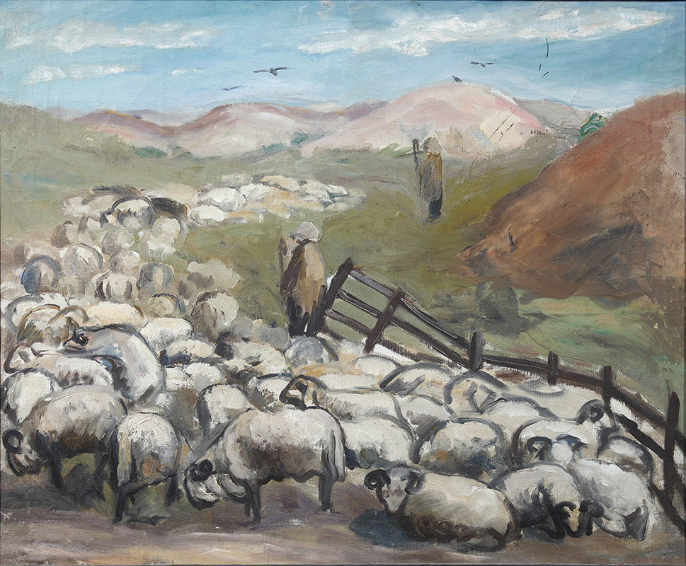 Овцы. В Дагестане. 1930