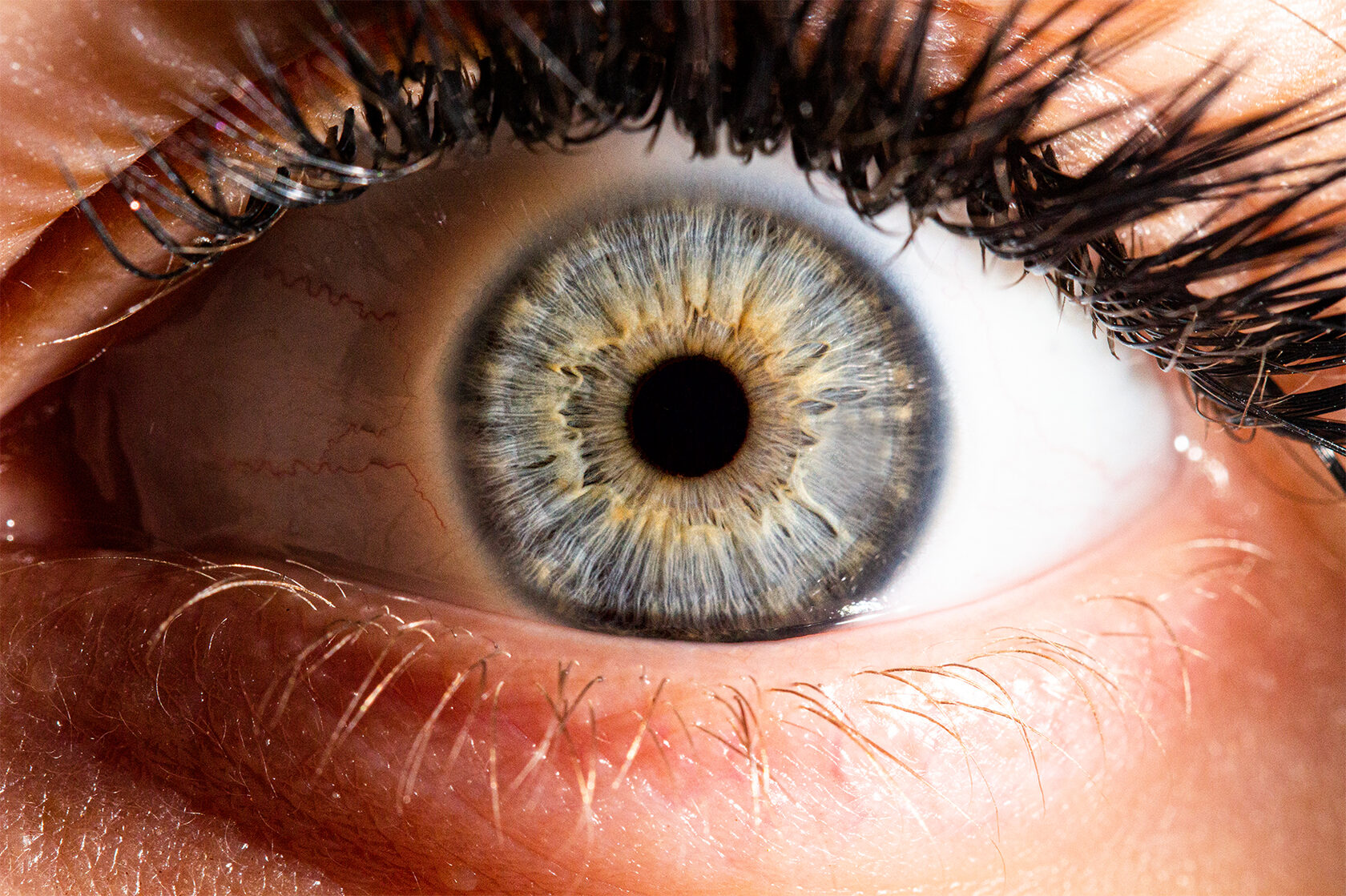 Глаза болотного цвета: происхождение и генетика