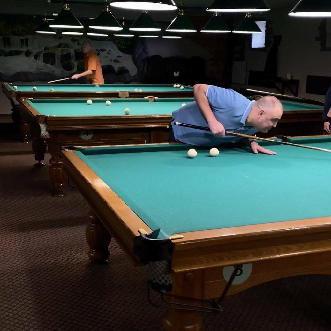 Федерация бильярдного спорта области