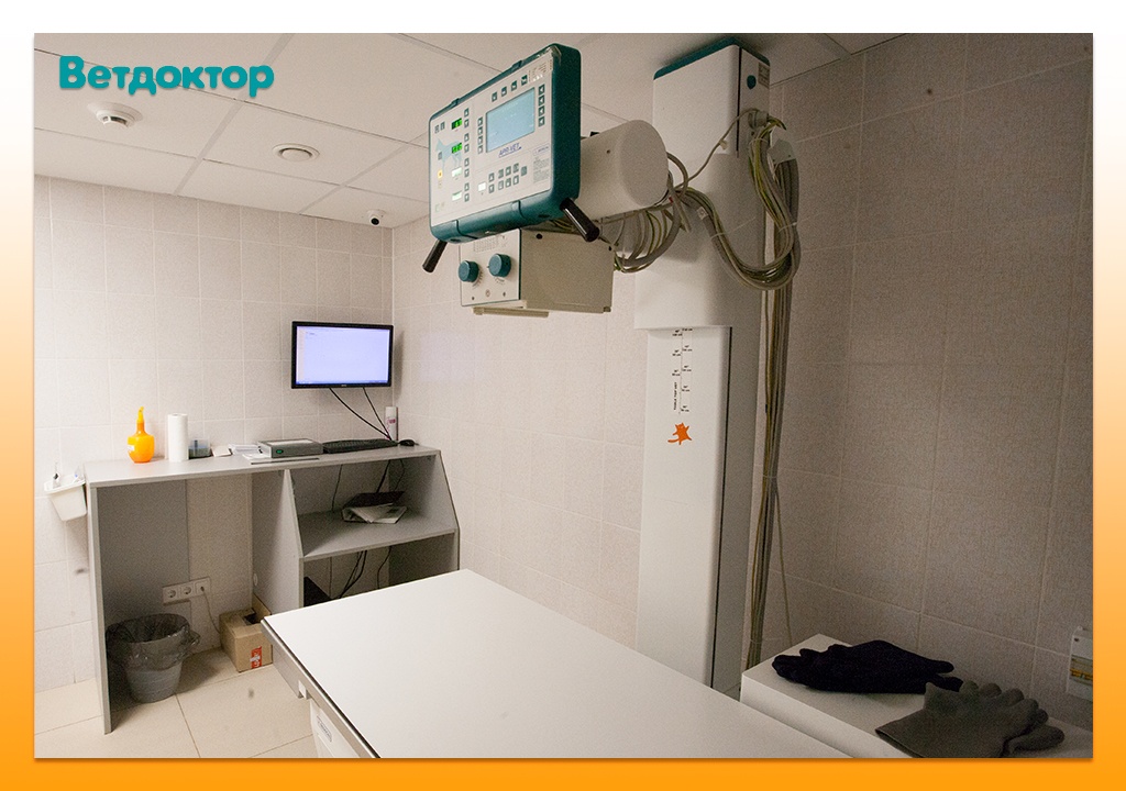 ветеринарные клиники адреса екатеринбург. ветеринарные клиники адреса екатеринбург. ветдоктор екатеринбург профсоюзная 55. ветеринарные клиники адреса екатеринбург. ветдоктор ветеринарная клиника верхняя пышма.