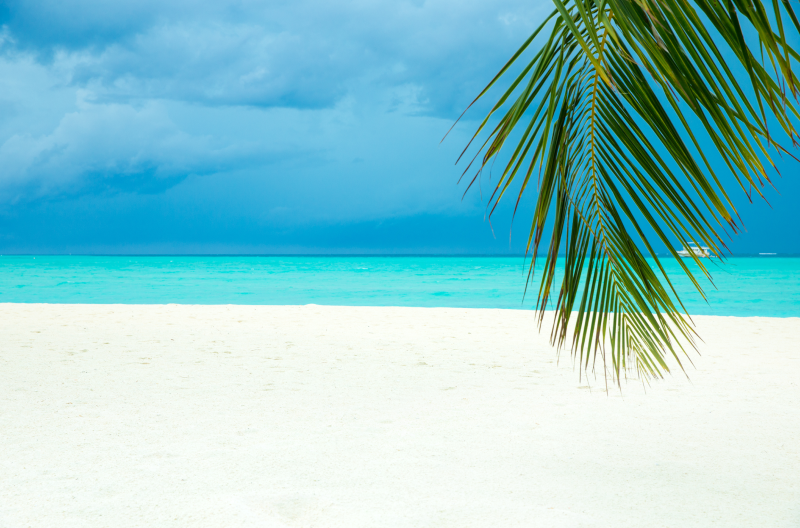 Мальдивы. Дайвинг в раю. Дайвинг на Мальдивах