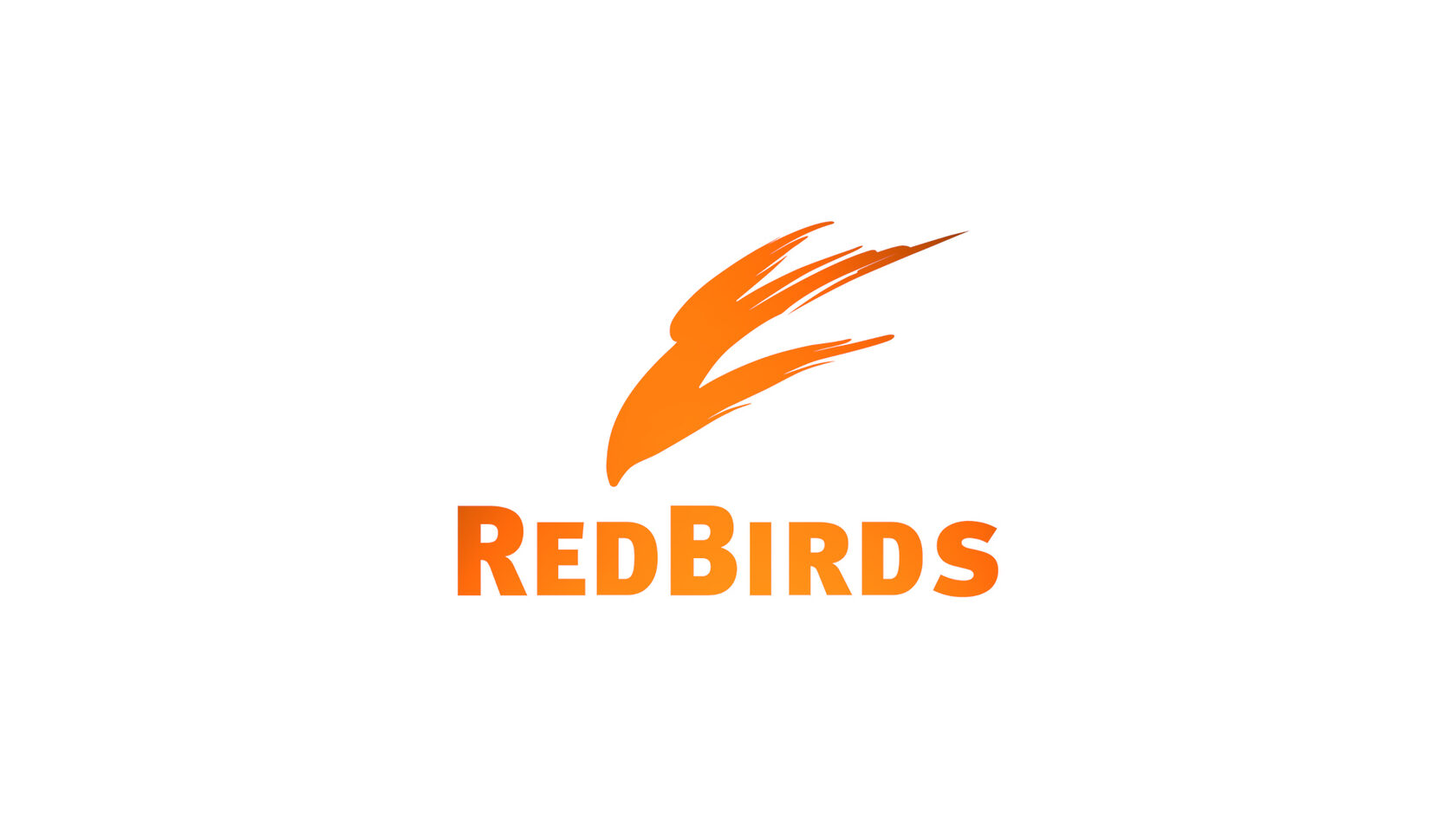 RedBirds | Студия видеопроизводства в Воронеже