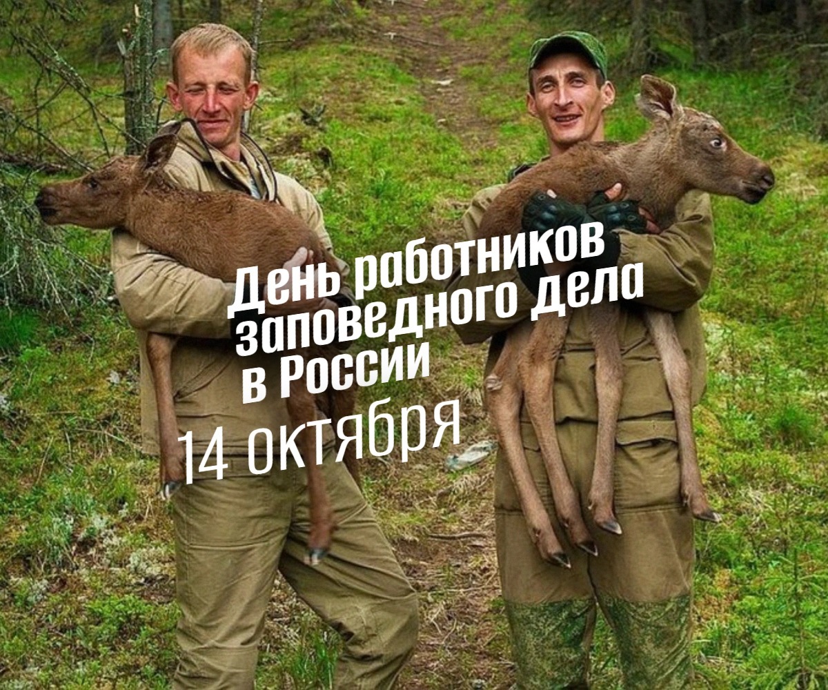 14 октября День работников заповедного дела в России 2025 geek hostel prazdniki