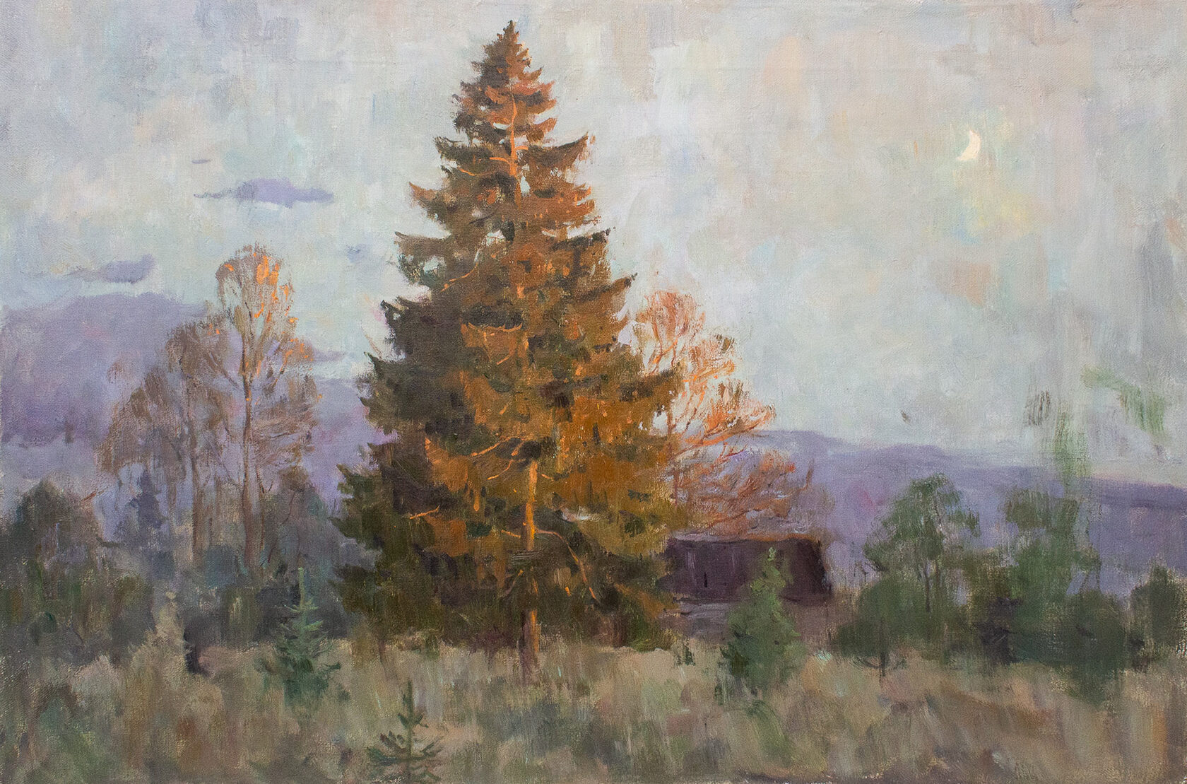 Вечер в лесу. Наступает ночь.