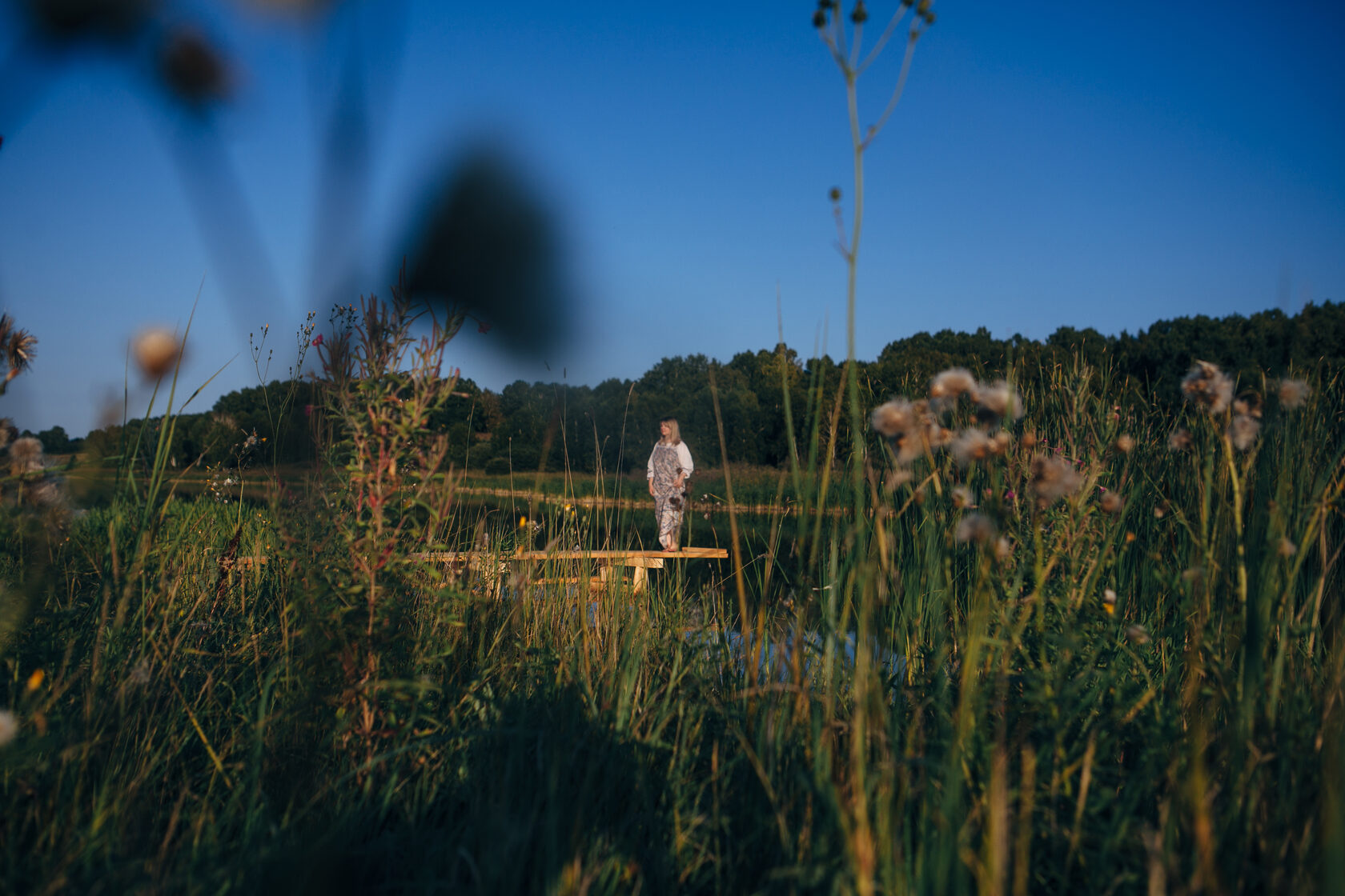 Деревня феде. Поселок русская деревня. Мегра вологодская область. Горинское костромская область церковь рождества пресвятой. Село федоровское костромская область.