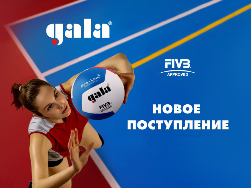 Снова в продаже волейбольные мячи Gala. Тренажеры для фитнеса DFC 2025, новые мячи для настольного тенниса Torres