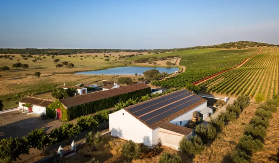 інвестиції в Порталегре