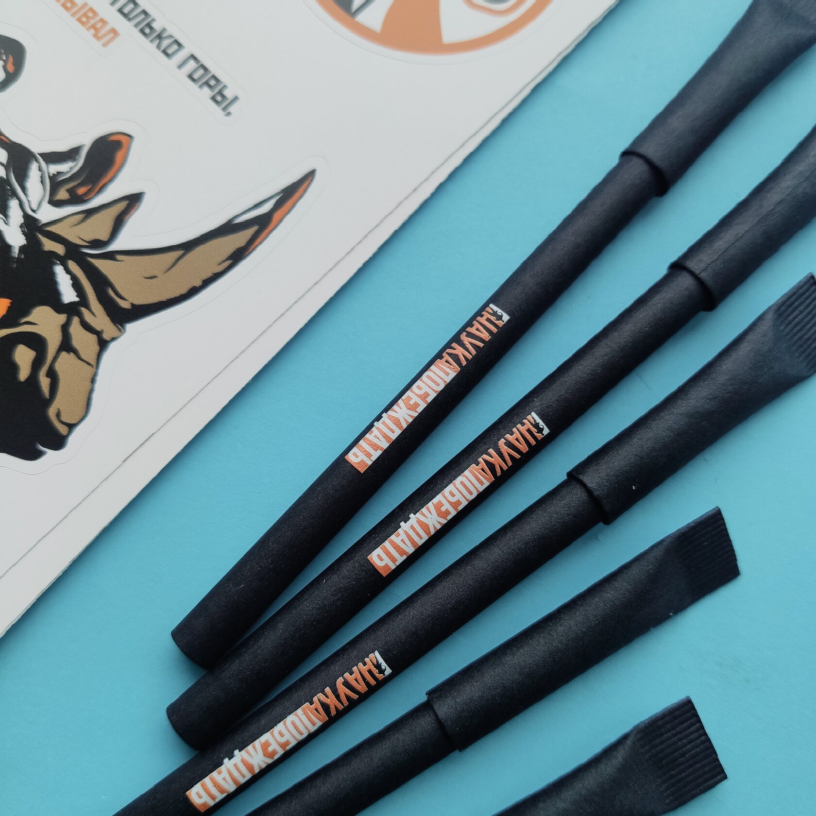 эко ручки с логотипом