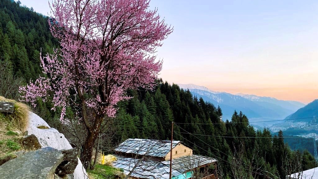 Himalayan Adventure