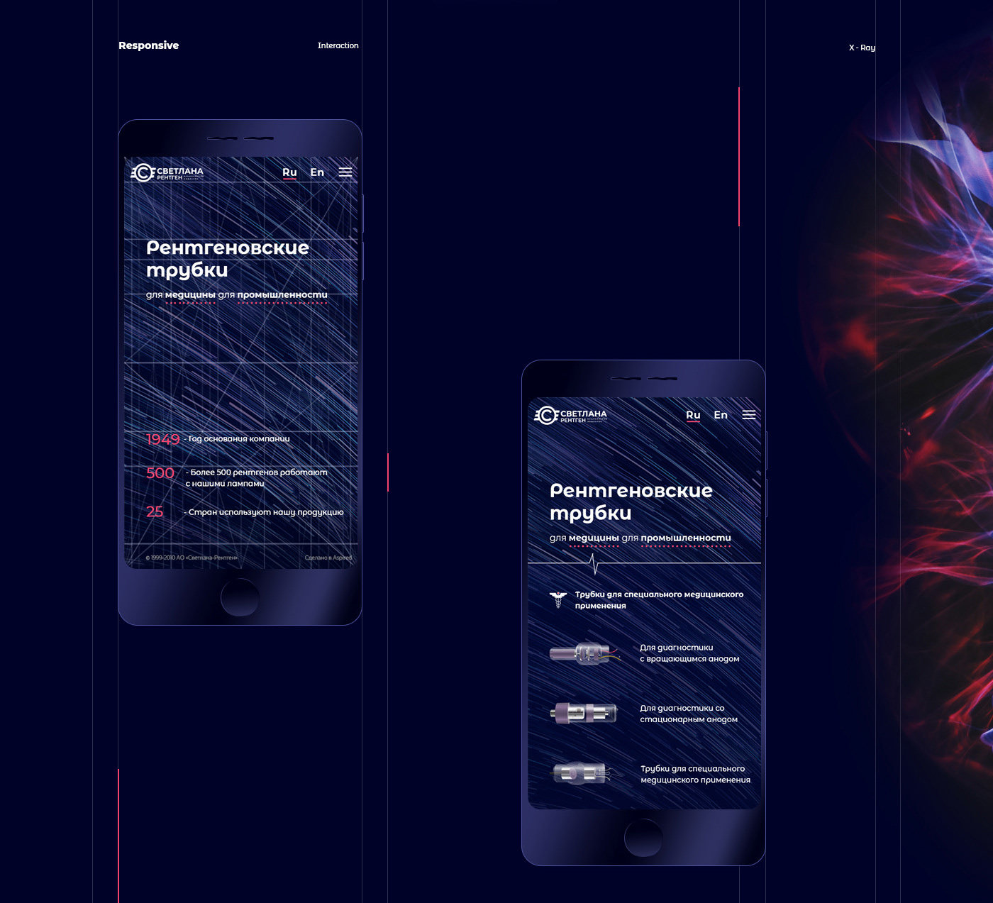 svetlana_x-ray_image_5