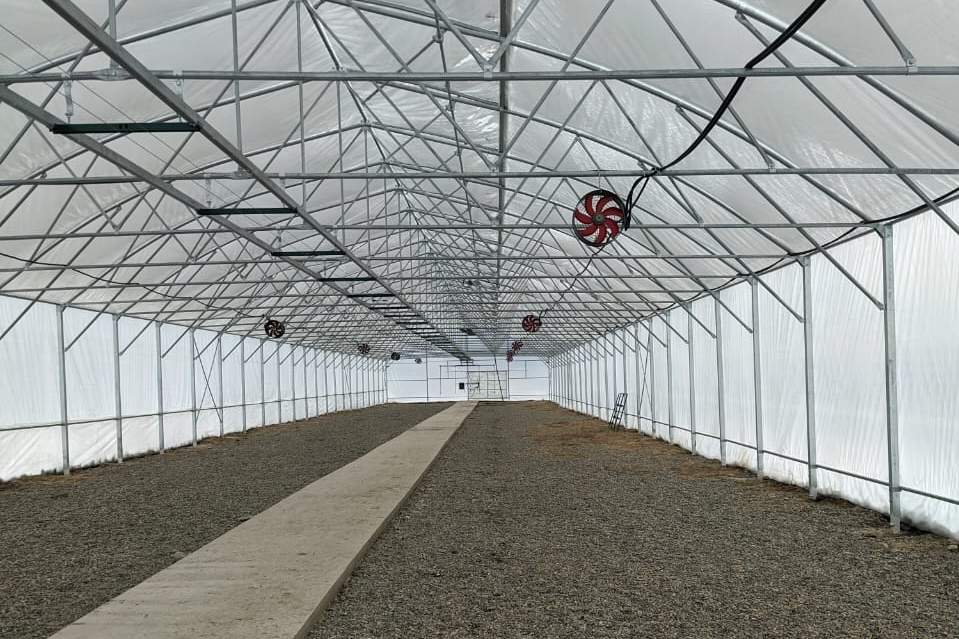 теплица в саду