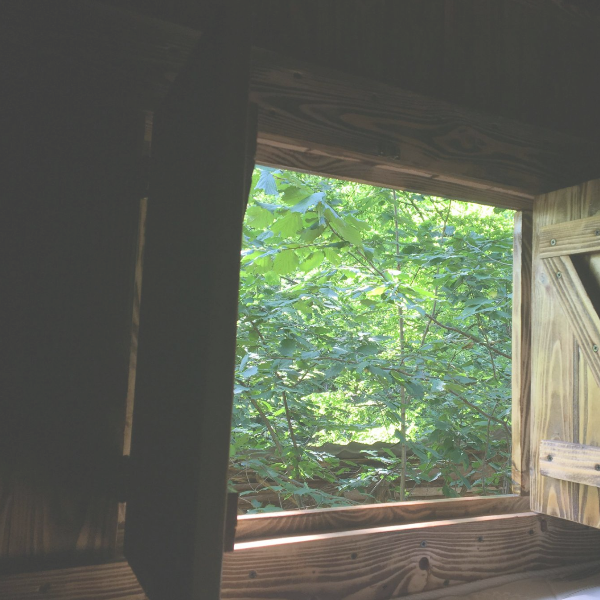 Плюсы и минусы бани из бруса