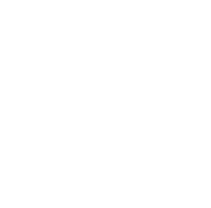 website icon