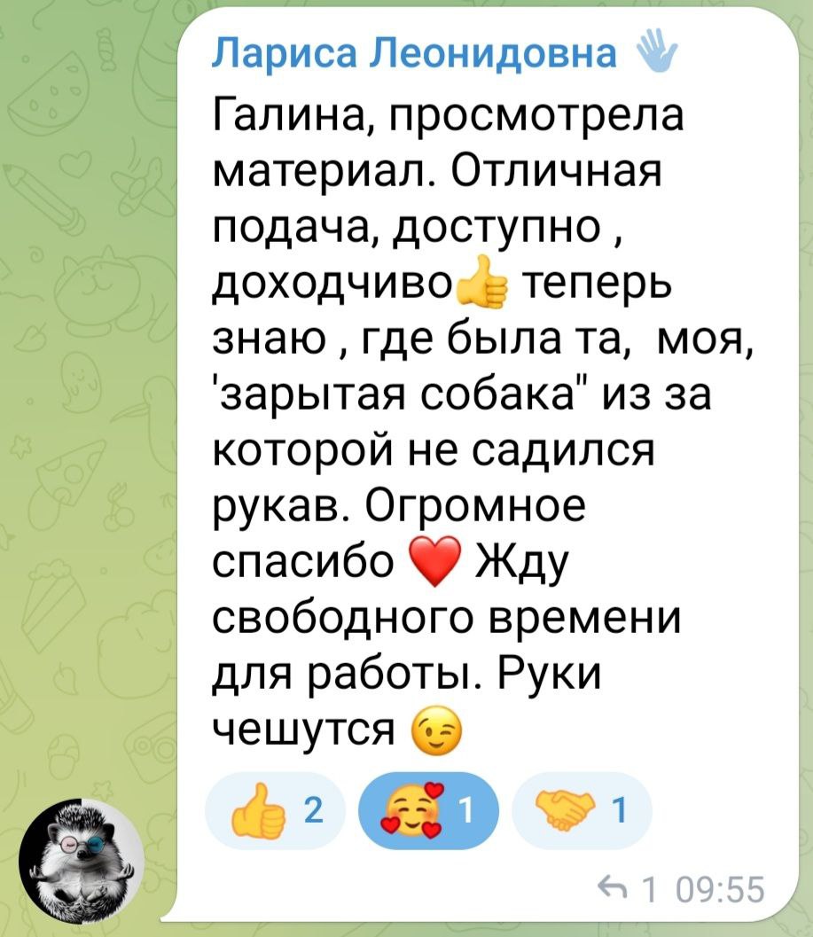 Отзыв по МК Правильный реглан 10