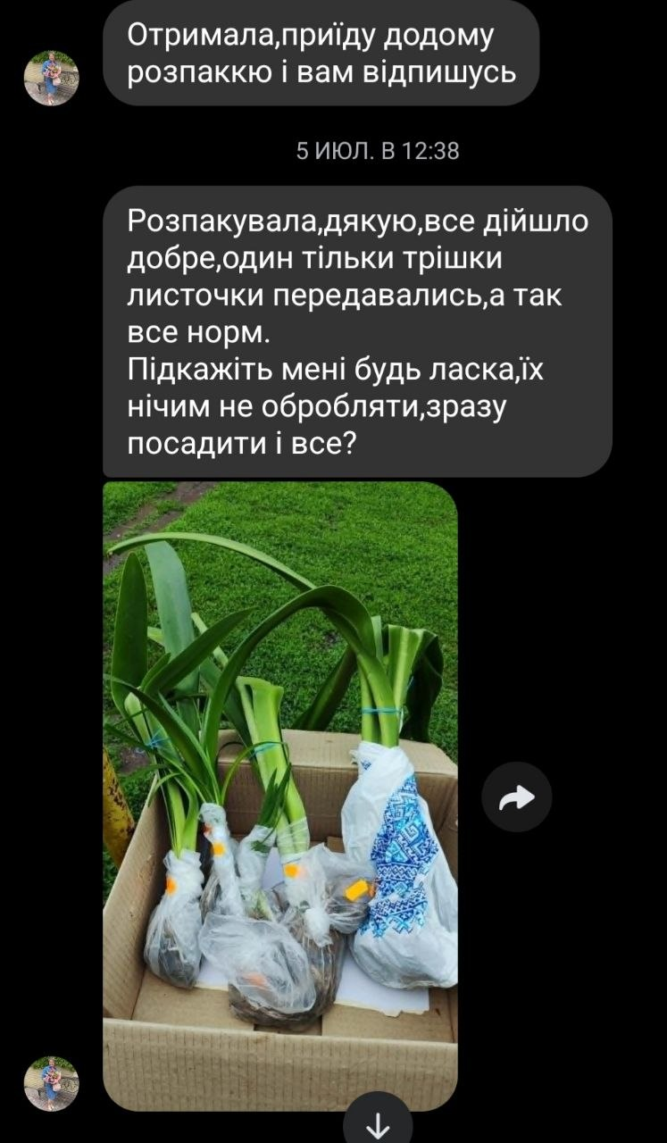 Відгук Олени