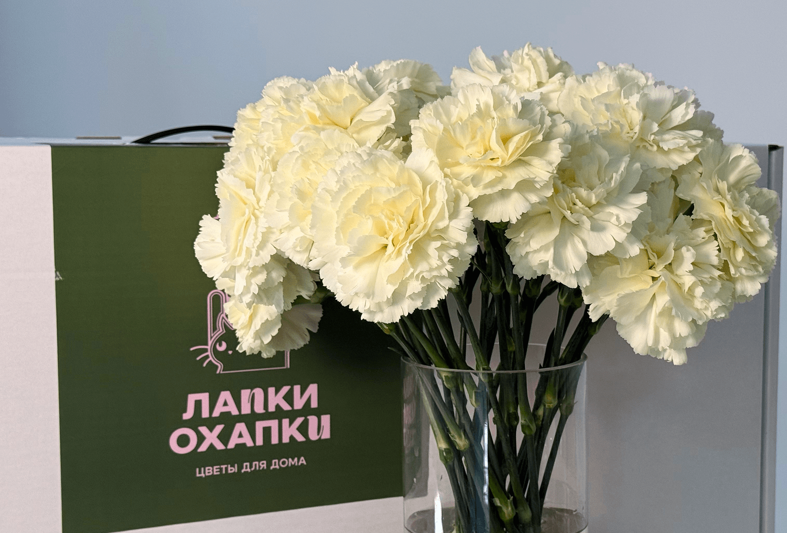 Цветы Лапки Охапки