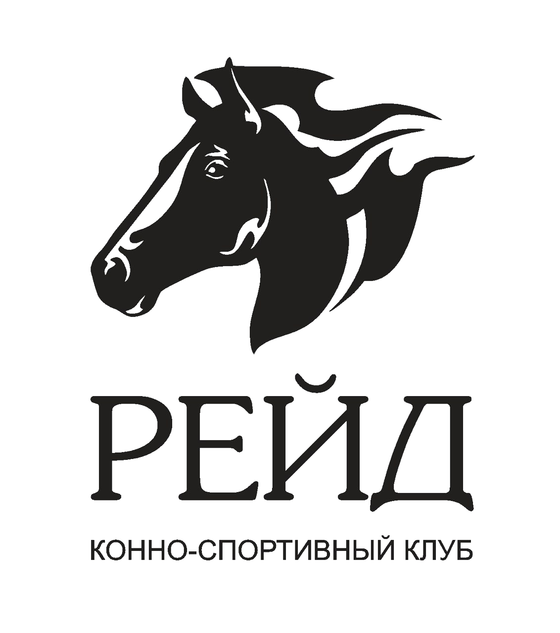 Конный спорт челябинск. Конный клуб рейд. Конный спорт в Горно Алтайске.