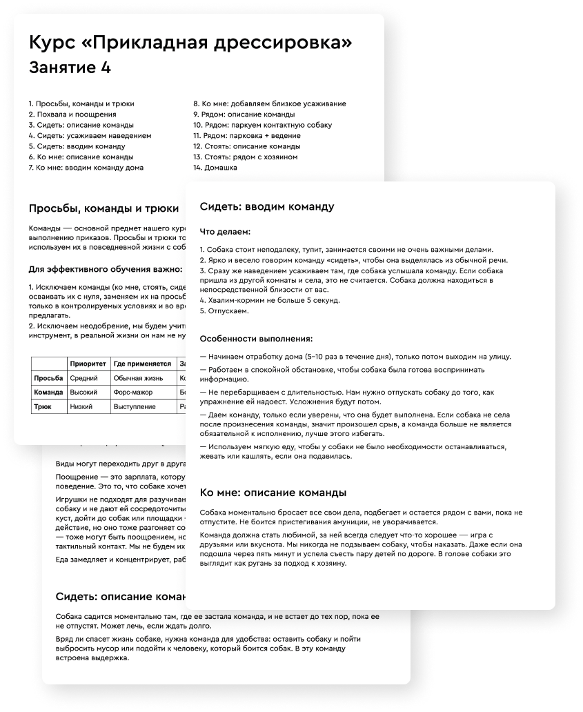 Обучения собаки онлайн