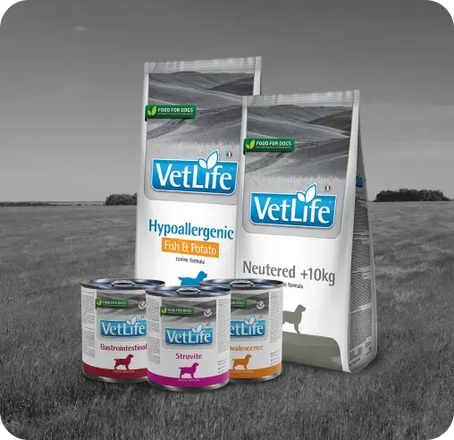 Линейка кормов Farmina Vet Life Canine