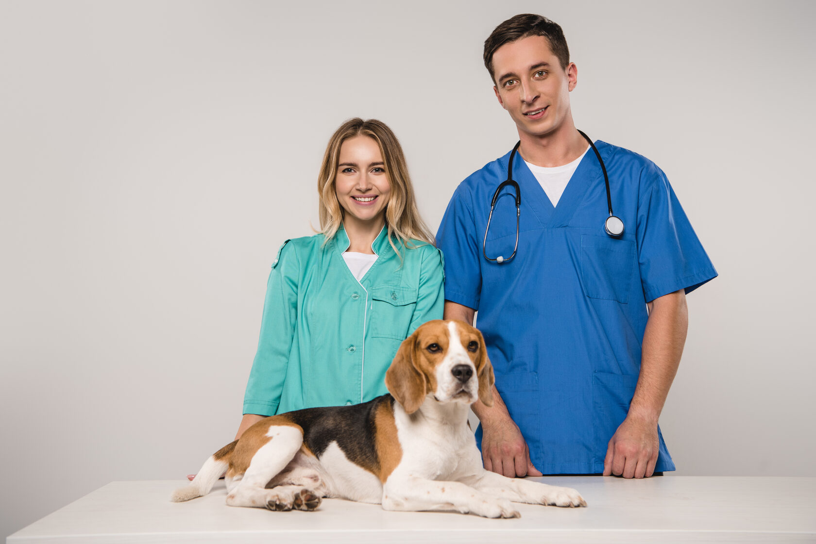 Бесплатная консультация ветеринара круглосуточно. Два ветеринара стоят над собакой. Ветеринар стоит и пишет.