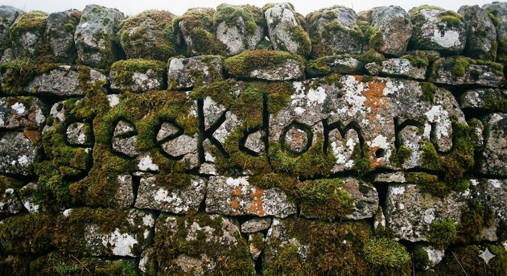 Старая каменная стена покрытая мхом в Шотландии