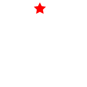 website icon