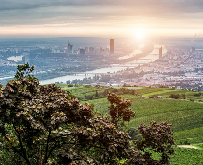 Döbling 19th district of Vienna clinics, properties for sale