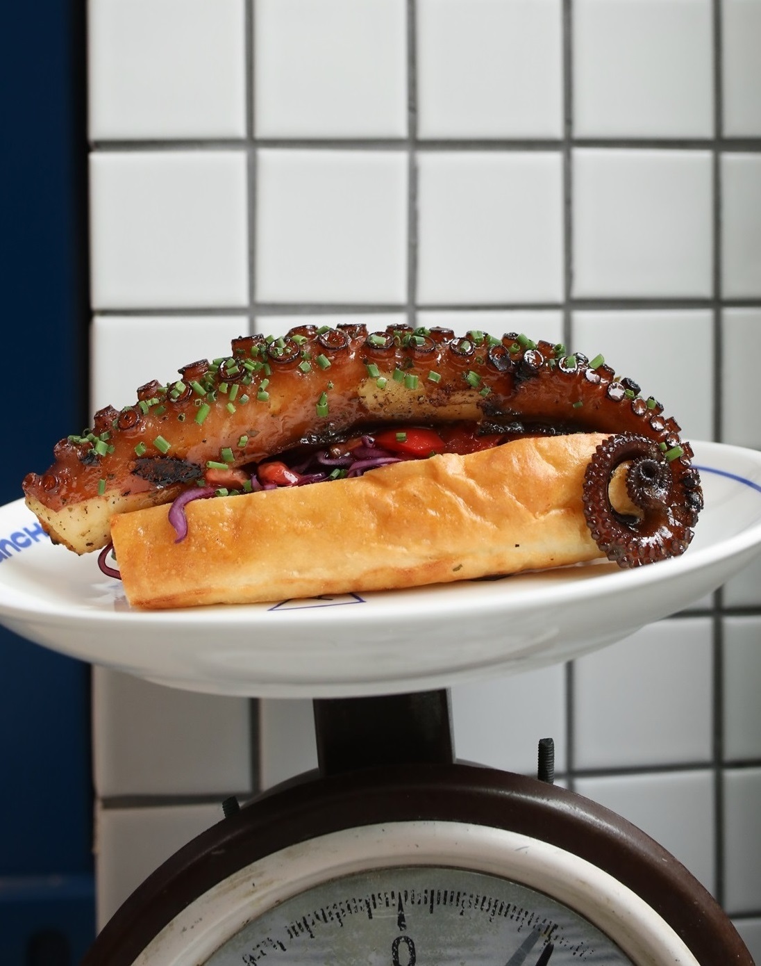 Anchovys club. Anchovys club. Anchovys club. Anchovys club. Anchovys club.