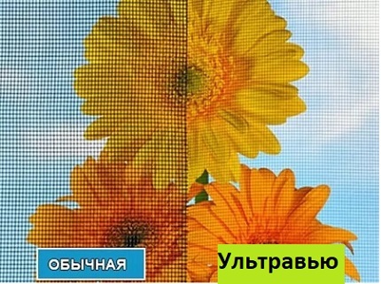 Прозрачная москитная сетка