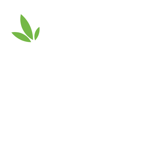 Добро пожаловать в KOLSAY ROOM!