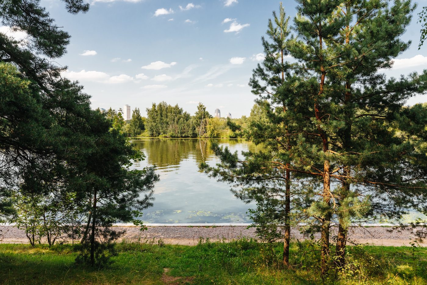 Пруд с соснами на берегу: Серебряный бор, до которого от ЖК «Скай Гарден» 18 минут на машине