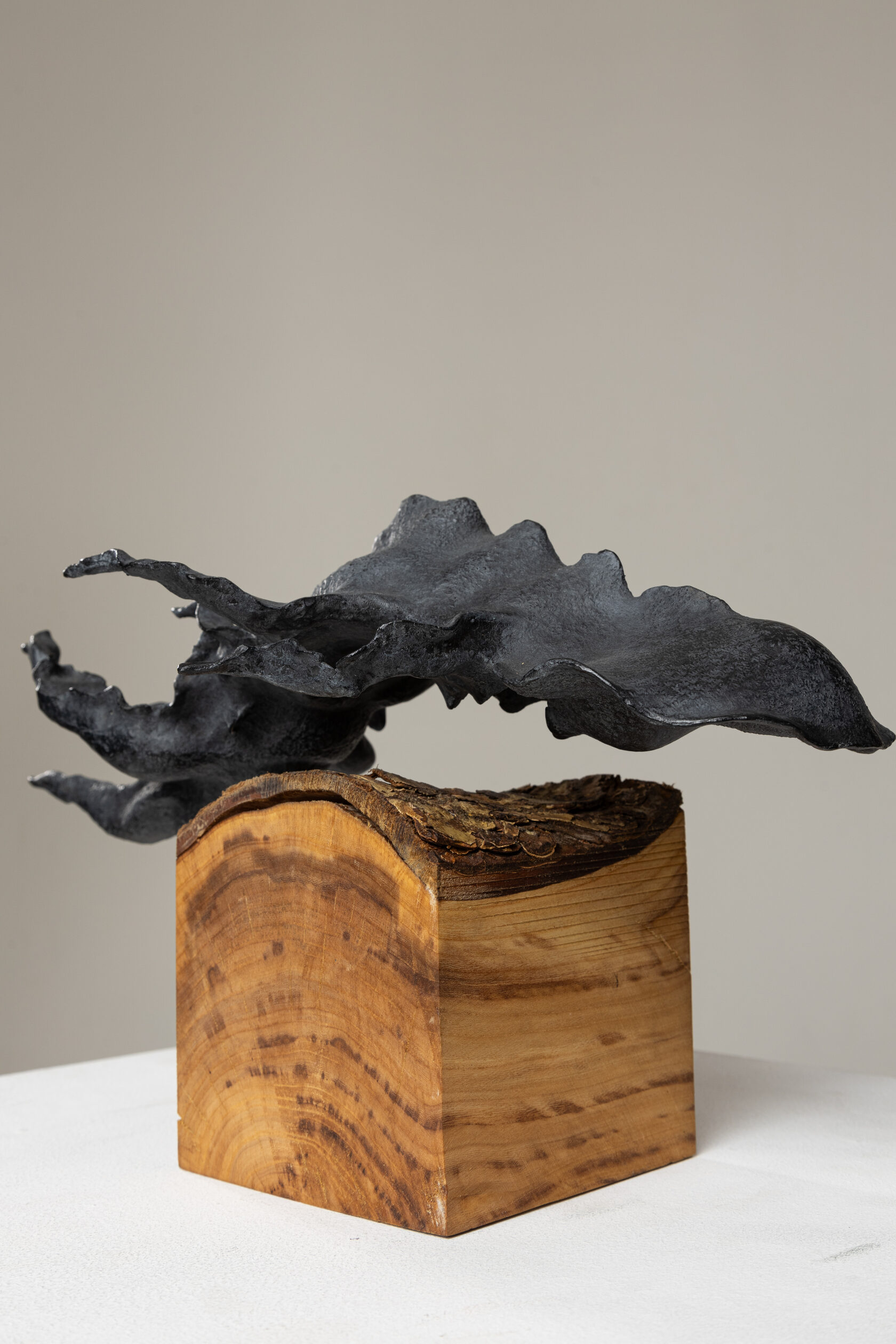 Глубинный Скульптура из бронзы Леонида Погребного 