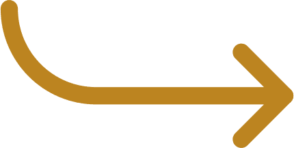 Широкий спектр Бизнес услуг | ЕвроСтарт