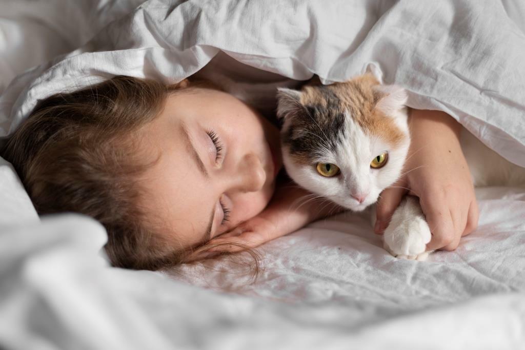Как кошки выбирают место для сна