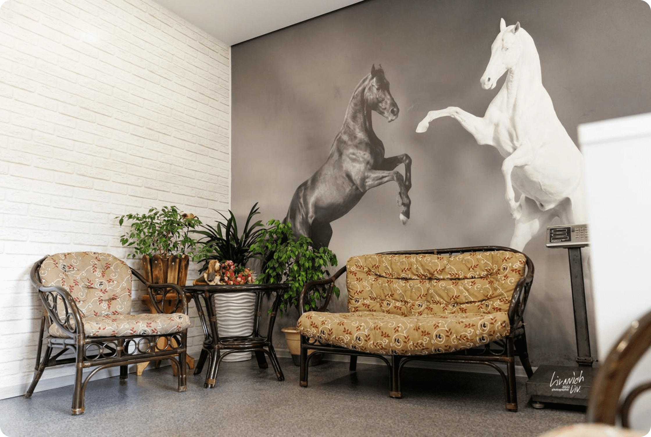 Ветеринарная клиника