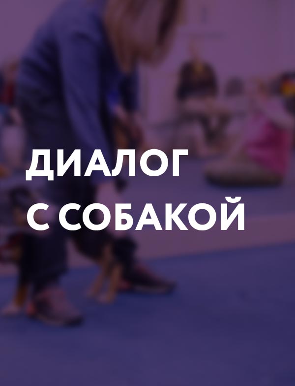 Учимся как обычно. Учимся как обычно