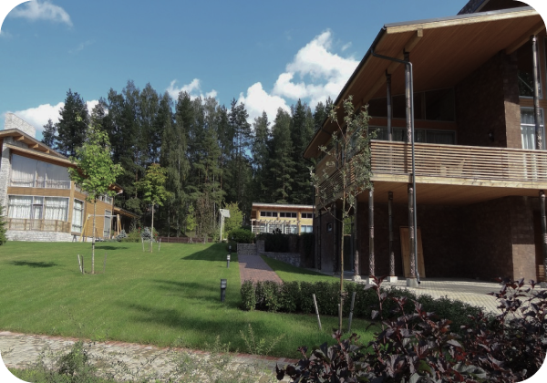 Современный ландшафтный дизайн, выполненный компанией Садовые решения