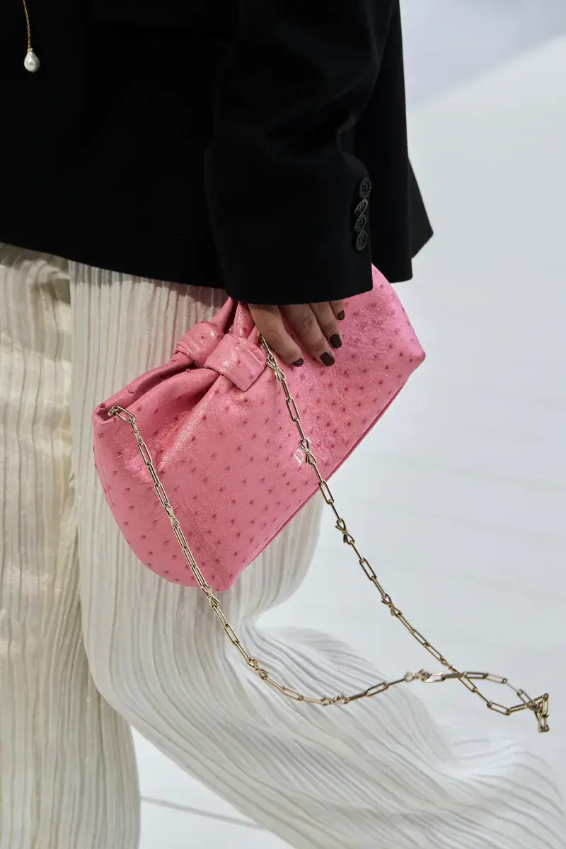 Сумки Dior Spring 2027 41