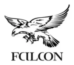 Зарегистрированный знак: спрятали слово FALCON