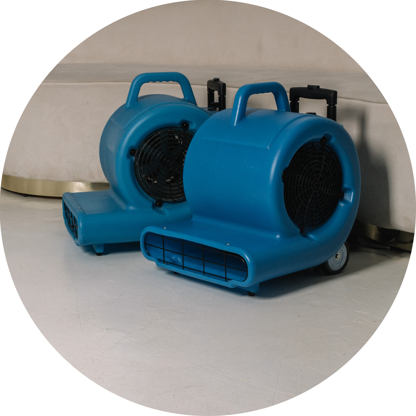 Фен для сушки помытой и почищенной мебели