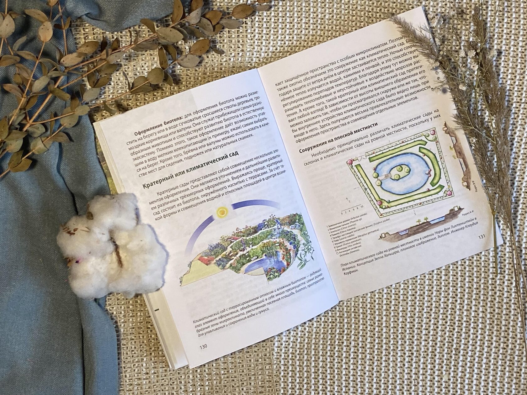 Зепп Хольцер