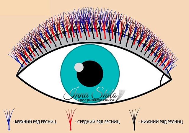 Направление ресниц при наращивании схема